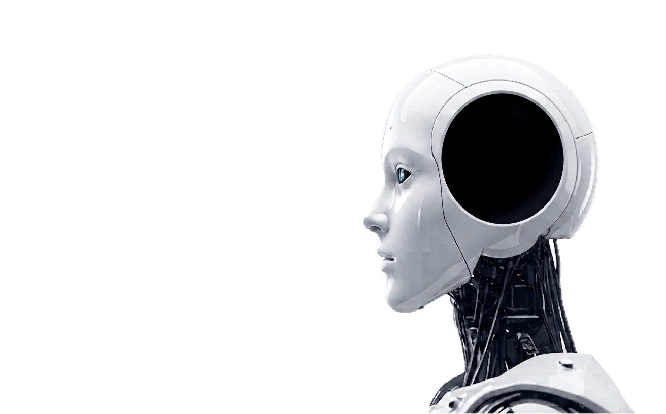 Humanoid android head with an open cranial cavity