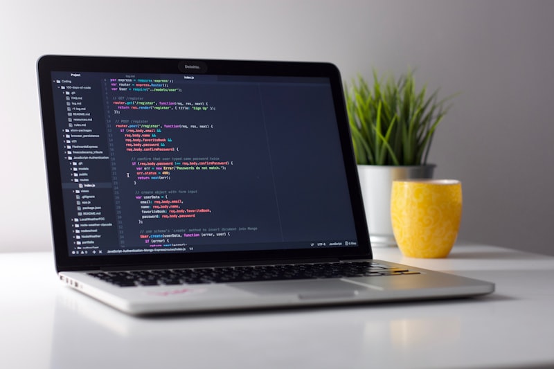 Software Development